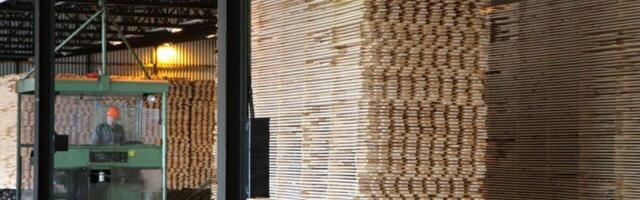 Majandustulemused | UPM hoiab fookust kasumlikkusel