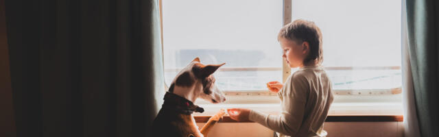 Koeraga laevas: nipid, et sellest kogemusest ei saaks kohutav katsumus