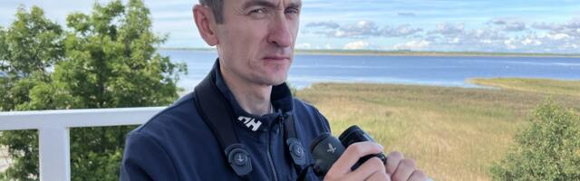 Tarvo Valker: linnud polnud ohus