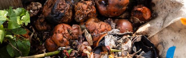 Biojäätmed olgu sorteeritud: 10 omavalitsust saab toetust kompostrite ostuks