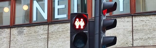 KOLUMN ⟩ Malle Pärn: kriitika pole foobia