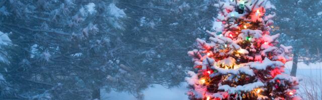 Päevahoroskoop : teisipäev, 23. detsember