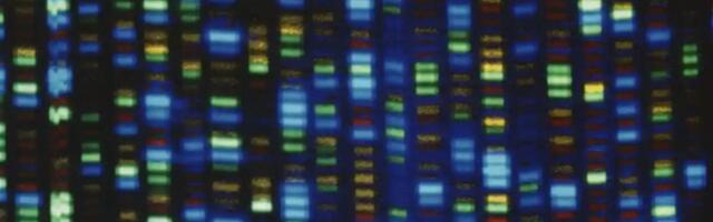 Avaldati esimene täielik inimgenoomi järjestus