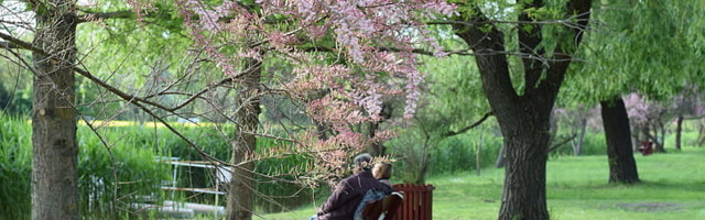 Saksa kohus tõstis sisserändajate tõttu vanapaari kodust välja