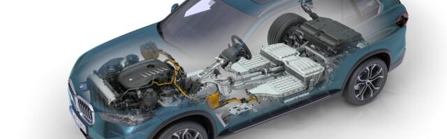 Nõunik. Pistikhübriidi kohta käivatel hirmujuttudel on alust, aga mida kontrollida ja kuidas ennetada?