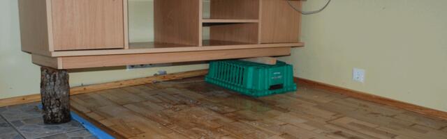 TOETUS ÜLEUJUTUSTE ENNETAMISEKS LAIENEB