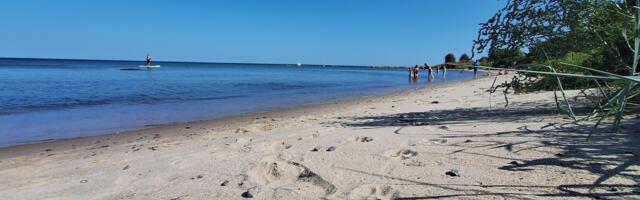 KOMMENTAARIDETA: Liivalahe rand 25. augustil 2024