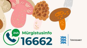 [KUULA INTERVJUUD] Kui ei tunne, ära korja! Seenemürgistused sagenevad