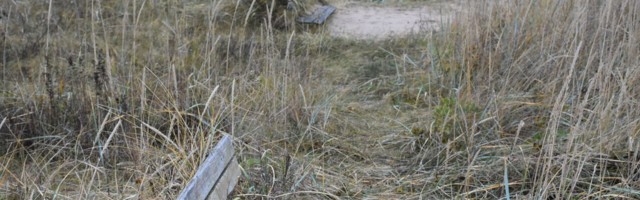 Lüganuse valla tuleva aasta kaasava eelarve raha läheb Liimala randa
