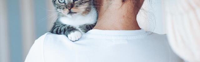 SÕPRA TUNNED SABAST! Veebruaris tutvustavad varjupaigad kõige staažikamaid hoolealuseid