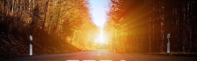 Tööst ja palgast aastal 2024