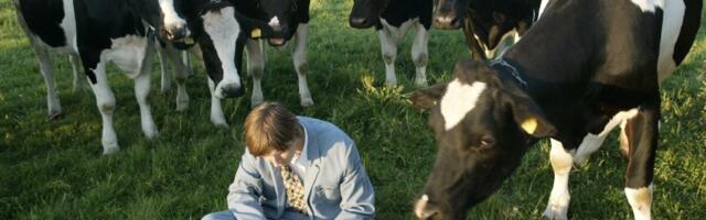 Maapiirkonna investeeringutoetuse tingimused muutuvad