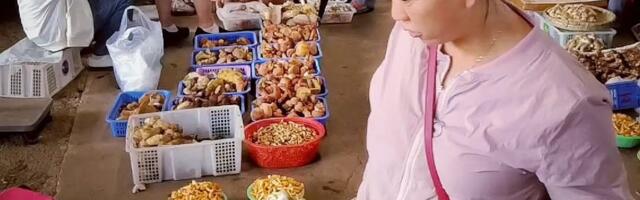 Sõid seeni ja nägid taldrikus liliputte. Sajad inimesed eri riikides kogevad samu hallutsinatsioone