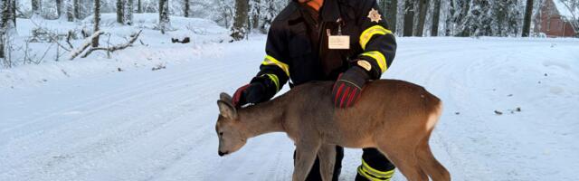 Lõuna päästekeskuse päästjatel oli töine nädalavahetus