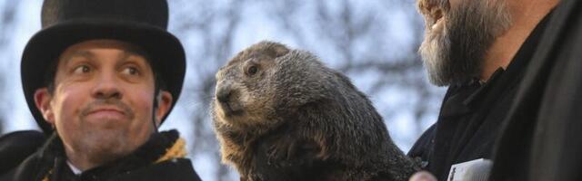 Kliimateadlane Ain Kallis_ kas saab olla veel viletsamat talveilma kui jaanuaris? Muidugi saab!