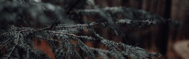 Detsember oli soojuselt esikümnes ning pikaajalisest keskmisest kuivem ja sombusem