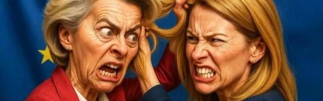 Naispoliitikud oskavad võimu juures meestega võrdselt halba teha