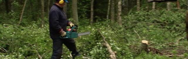 Reporter: Kas sõjast tingitud toorainepuudus on piisav põhjus Eesti metsaraie mahu suurendamises?