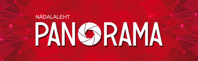 Tööturu mustvalged jooned