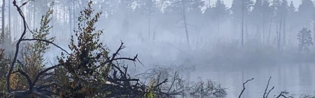 FOTOD JA VIDEO | Alutaguse vallas põleb Puhatu raba, kustutustöödele on kaasatud helikopter