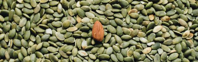 Magneesium igapäevaelus: mida tasub enne valikute tegemist teada