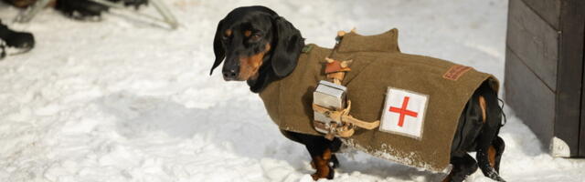 GALERII: Sõjamuuseumi hoovis rullus lahingustseen Vabadussõjast