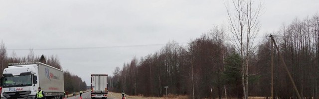 Reporter: Pärnumaal hukkus veoauto ja sõiduauto kokkupõrkes mees