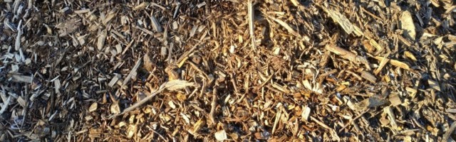 Seisukoht: hakkepuidu kasutamine kütteks on kohalikul tasandil problemaatiline, ent suures pildis õilis