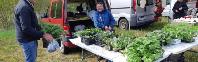 Esimene Ihamaru taluturg tõi letti kohalikud tooted