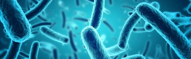 Baktereid saab programmeerida tootma uusi antibiootikume