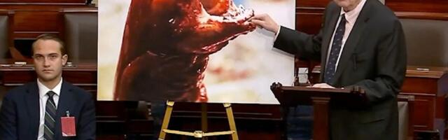 Senator Says Radioactive Shrimp Will Turn You Into the Alien From ‘Alien’
