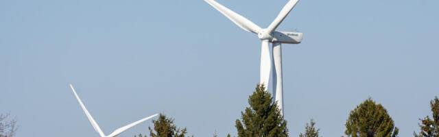 Hakkab tulema: keskkonnameti hinnangul jätab tuuleparkide keskkonnamõjude hindamise kvaliteet soovida