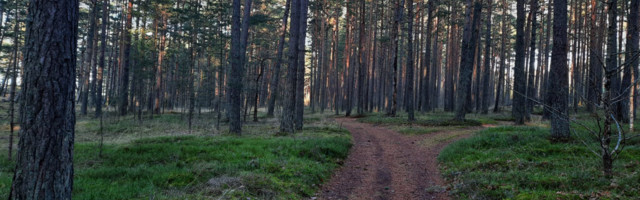 KOHALIKUD PÖÖRDUSID ROMANTILISE RANNATEE RAIETE PEATAMISEKS KOHTUSSE