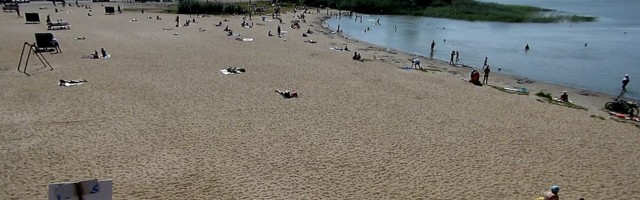 Otsepilt Harku järve rannast