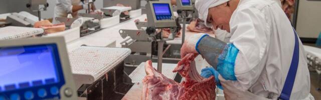 Nõo Lihatööstus seiskas ülikõrge elektrihinna tõttu ajutiselt tootmise