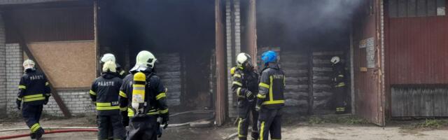 Päästjad kustutasid põlevat grillsütt, papikonteinerit ja likvideerisid õlireostuse