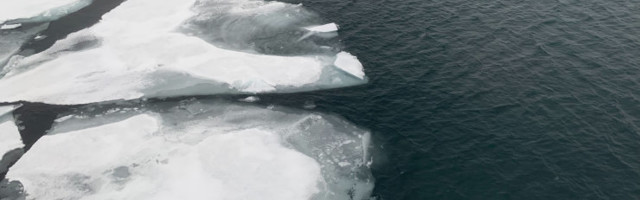 GRAAFIK | Arktika merejää moodustumise algus pole veel kunagi teadaolevalt nii palju hilinenud