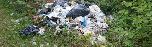 RMK: igal aastal korjame metsast 200 tonni prügi – selle koht ei ole looduses