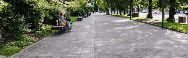 Doktoritöö: linna digikaksik aitaks avalikke alasid kestlikult majandada