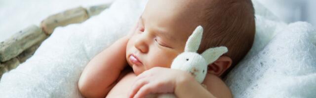 Just need beebinimed olid märtists Eestis kõige populaarsemad