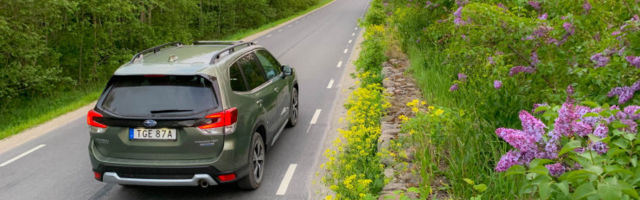 Subaru Forester e-Boxer: moodsa metsavahi päris auto
