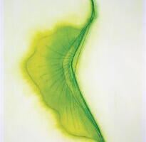 Suur imeline eluring