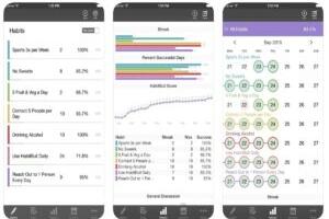Distsipliin ja vastutusäpid