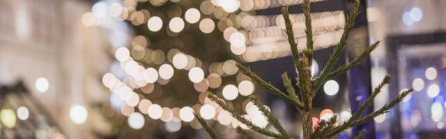 PÜHAPÄEVAKOLUMNIST | Liisa Pakosta: juurte juurde tagasi!