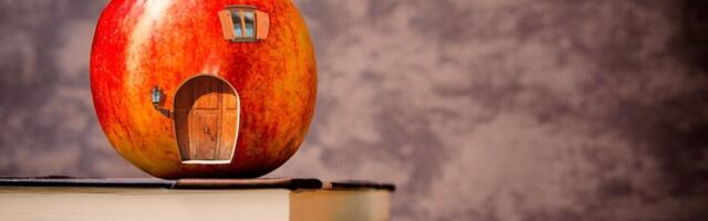 2024. aasta 13 õppetundi