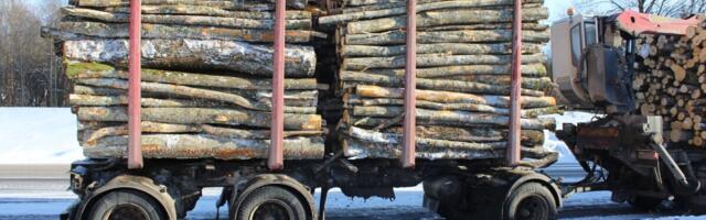 Oksjon puidu biokeemilisest väärindamisest huvitatuile algab 26. märtsil