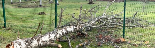 TORMIBLOGI | Torm rebib majadelt katuseid ja murrab puid. Elektrita on ligi 10 000 majapidamist