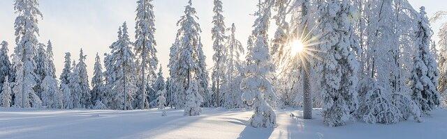 ILM: Reede 23.01 – Õhutemperatuur on -6..-12°C.