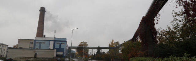 Haapsalus langes toasooja hind