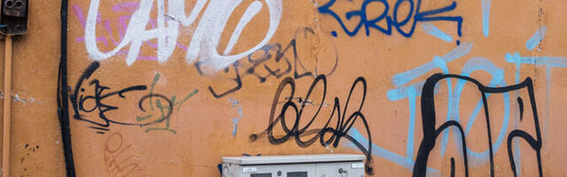 Tallinna majaomanikud on hädas majaseinte sodijatega